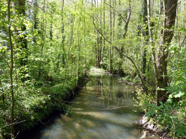 Symphonie en bleu et jaune avec Générations 13