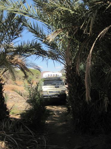 Depuis Essaouira le retour 2 ...