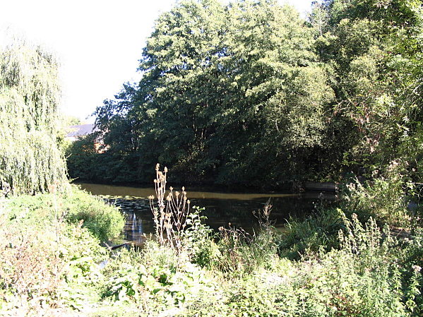 ma-campagne-bretonne-0151.JPG