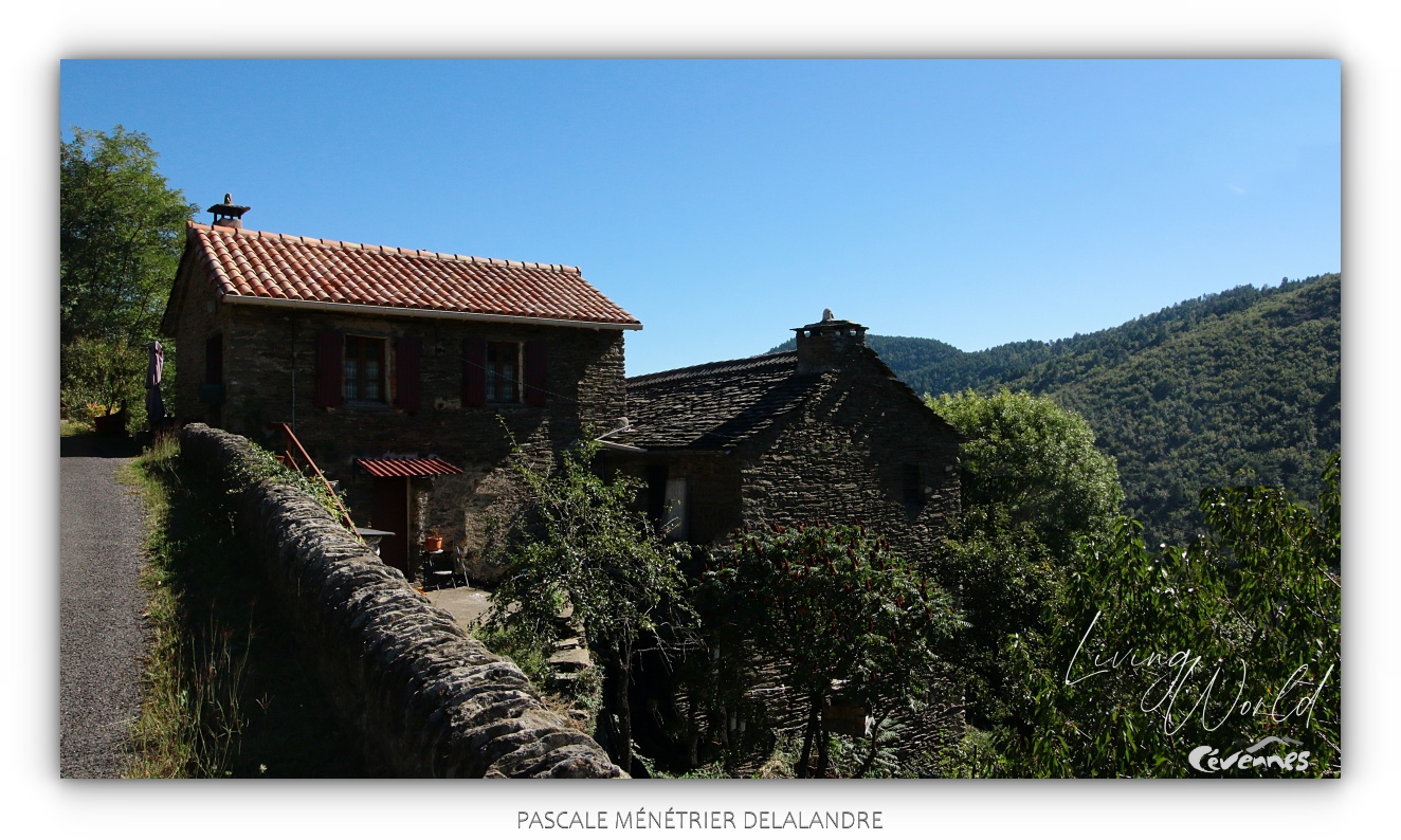La diversité en Cévennes...