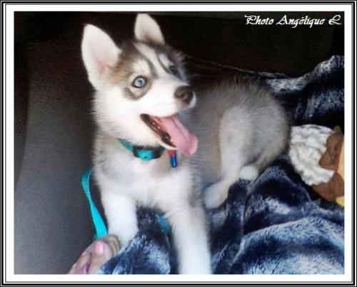 Jeska (2 mois)