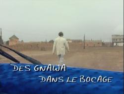 Des Gnawa dans le bocage