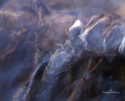 Les Emanants de Pascale