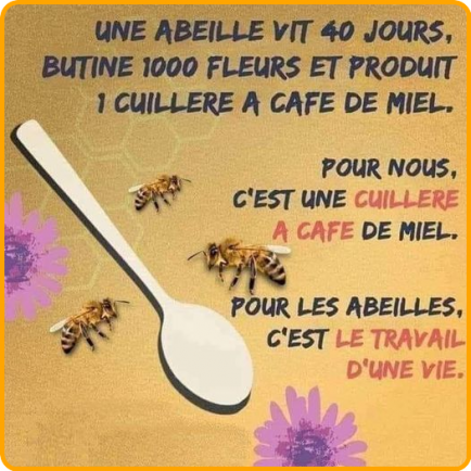 ⊱♥⊱╮ღ꧁  Incroyable  ꧂ღ  ⊱♥≺
