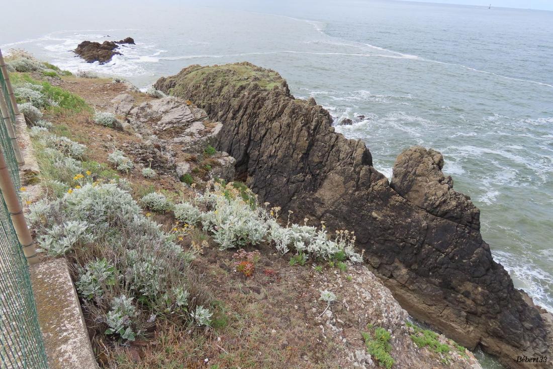 Saint Marc sur Mer 