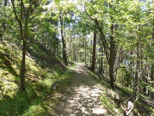 Tête de Louis XVI (Méolans-Revel - Ubaye)