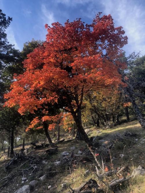 Pic de Céüse