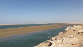 Depuis Dakhla