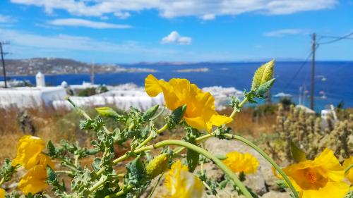 Le balcon posé sur la mer (11-2) à Μύκονoς. Le balcon du Samedi Saint