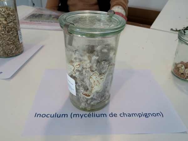 La Société Mycologique du Châtillonnais a présenté une belle exposition et une très intéressante conférence au pantographe de Venarey les Laumes