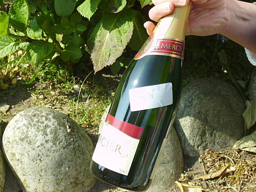IMGP0270.JPG