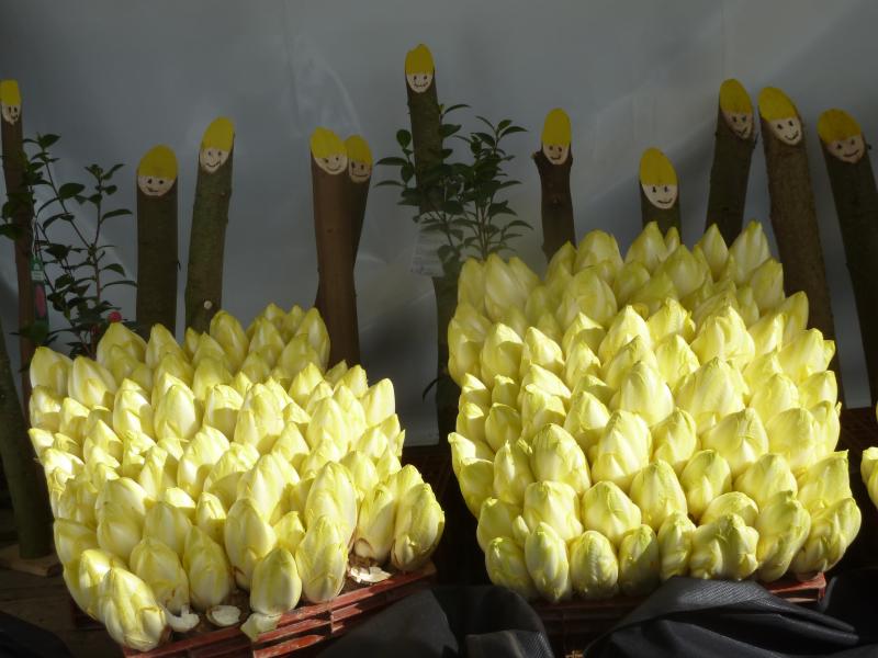 Un bon légume d'hiver ....