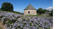 LES REMPARTS D'OMONVILLE-LA-ROGUE - LE TOURP (Manche)