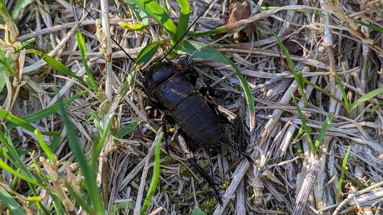photos plaisir en Septembre