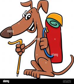 séjour rando dans le Queyras