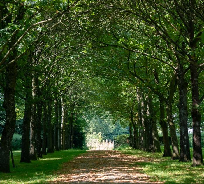 Département du Pas de Calais