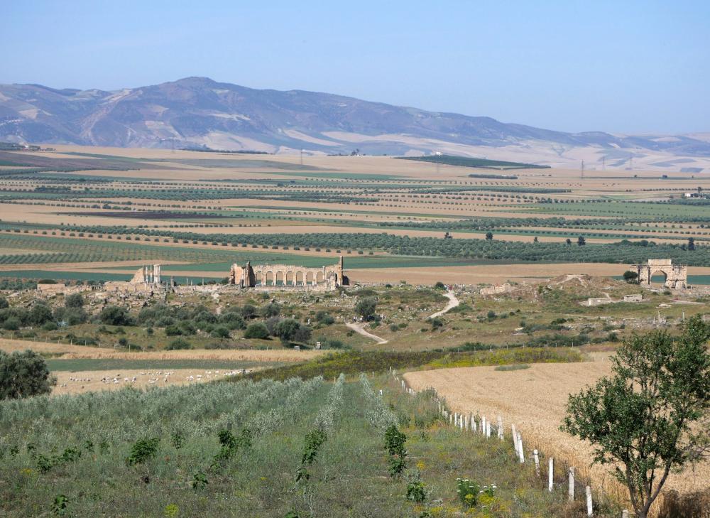 Meknès - Chefchaouen 