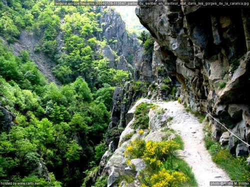 ╰⊱♥⊱╮ღ꧁ Département  66  ꧂ღ╭⊱♥≺