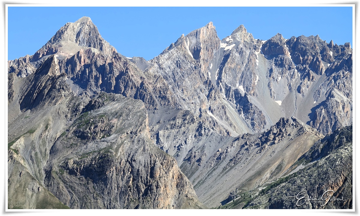 A la rencontre de l'Edelweiss