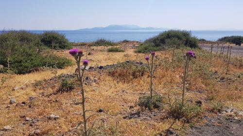 NISYROS, la route du Sud de l'île !