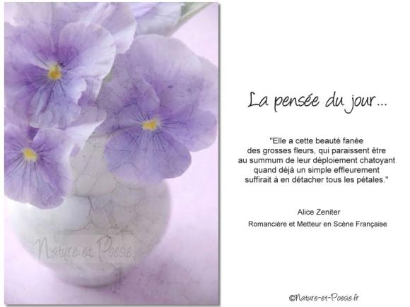 La pensée du jour (124)