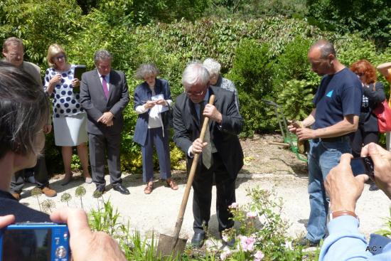 3.13 Plantation de Rose-Québec