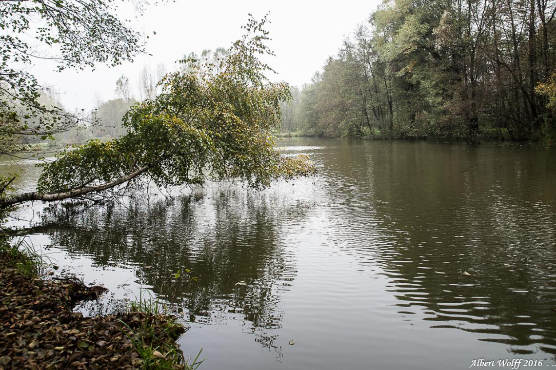 Étang de Chaumergy.