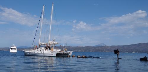 Du ZEF à la roulotte...