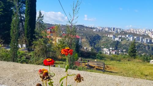 L'hospitalité de la maison du souvenir