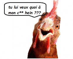 Un bon début de semaine