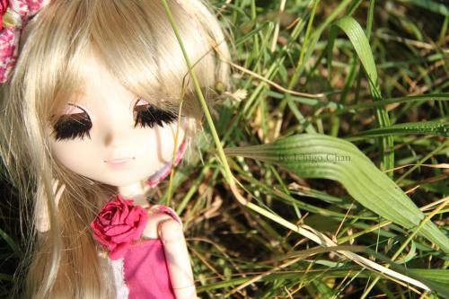 Séance 6_ Une lolita à la campagne ~