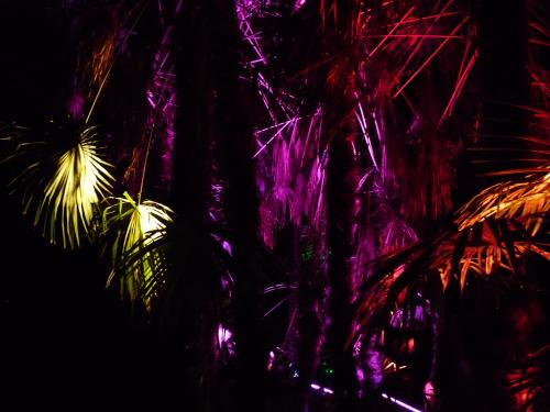 Nocturnes à Nantes : un château et un jardin illuminés
