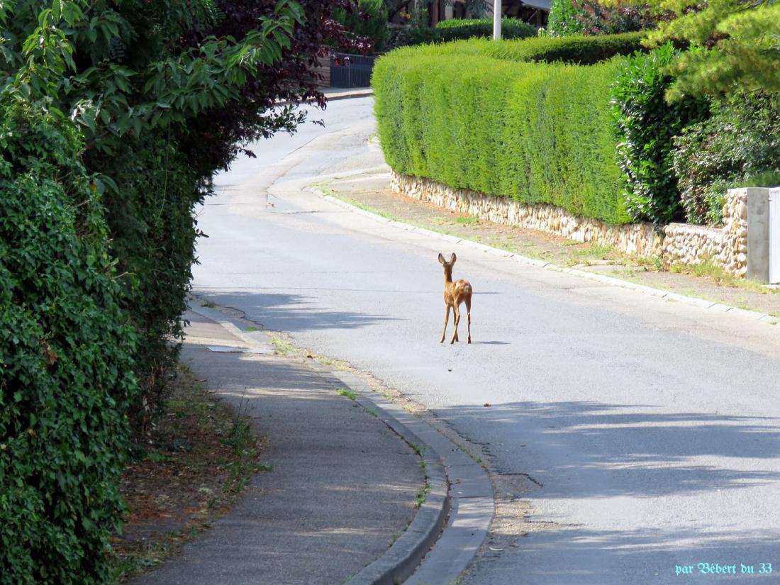 une rencontre insolite !!