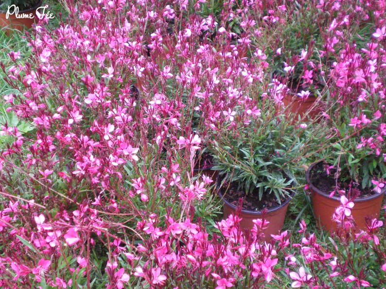 Image016.jpg