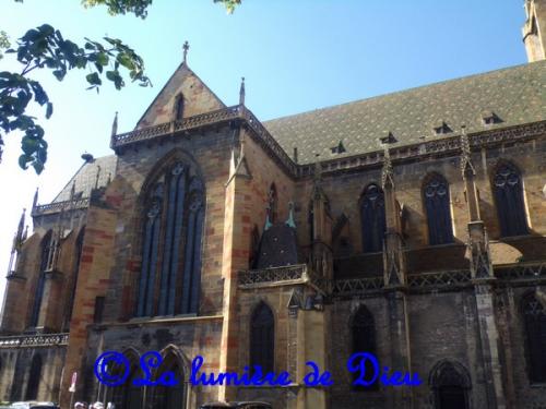 Colmar, la collégiale Saint Martin