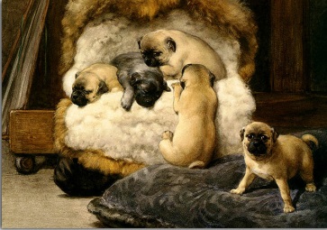 Otto Eerelman ( peintures de chiens )