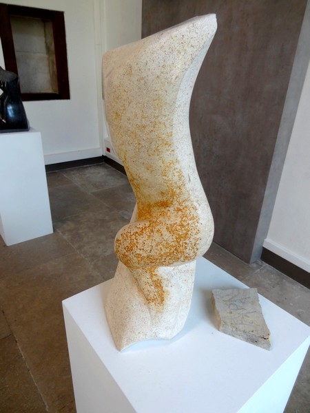 "Dix torsions", une exposition "sensuelle" d'Arno Mercier...