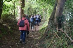 La randonnée du 6 octobre à Fontenay-le-Pesnel