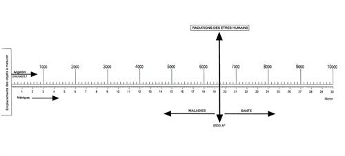 mesure avec biomètre de Bovis biomètre ou règle nouvelle de Bovis