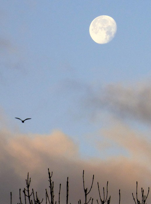 Autour de chez moi ...