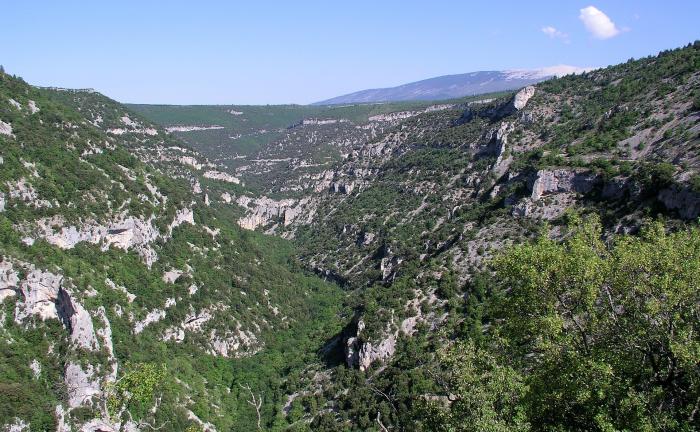 Département du Vaucluse