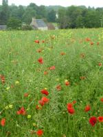 La randonnée du 9 juin à Mouen
