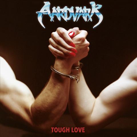 AARDVARK - "Fire" Un nouvel extrait de l'album Tough Love dévoilé