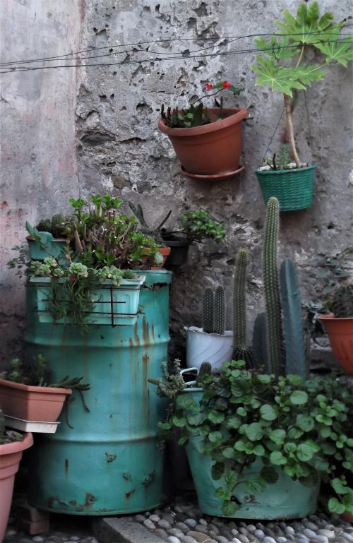 8- Escale à IMPERIA