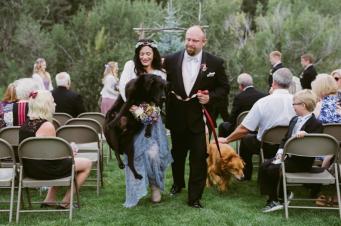 Mourant, un chien veut à tout prix assister au mariage de ses maîtres
