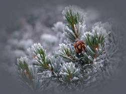 hiver en chanson ...