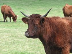 Lundi en une, deux , trois, quatre, ( et bien plus encore ) Photos !