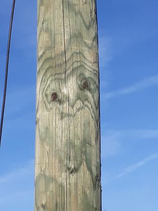 Yves P.‏ - les émanants