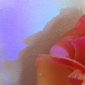 Eau, arbres et rochers énigmatiques