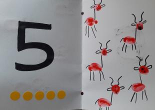 Réaliser un album à compter 